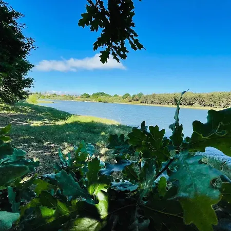 La Marina Chalet Las Rozas de Valdearroyo