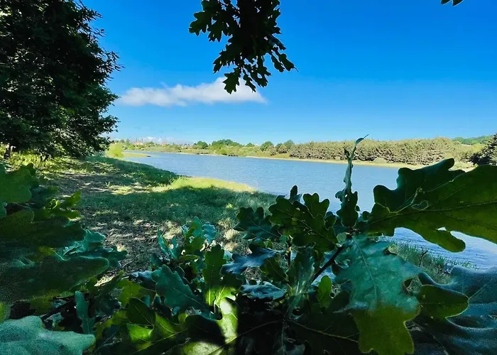 La Marina Chalet Las Rozas de Valdearroyo